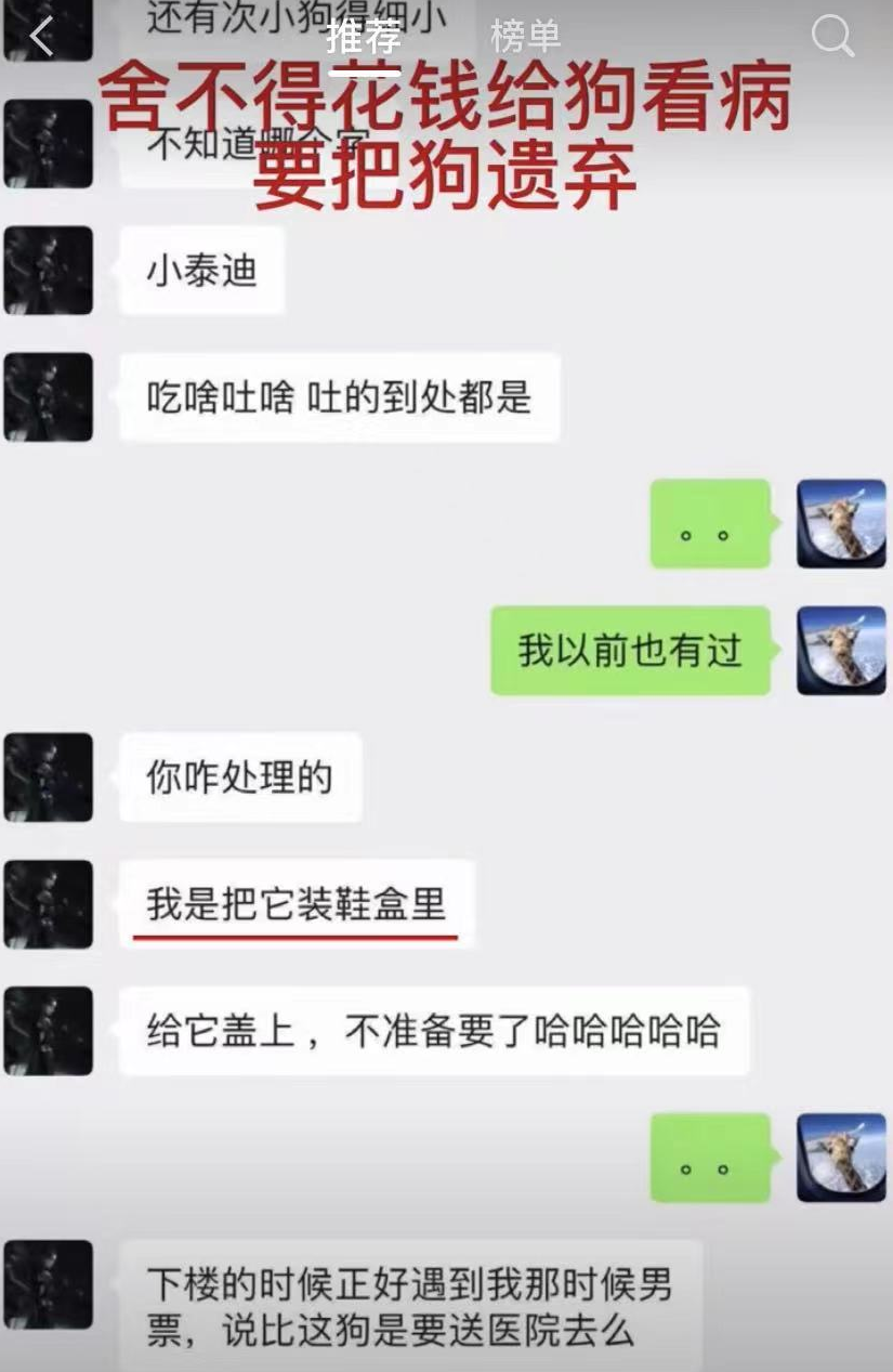 郑爽|张恒再发文信息量大!曝郑爽1.6亿阴阳合同单,还原偷漏税全过程