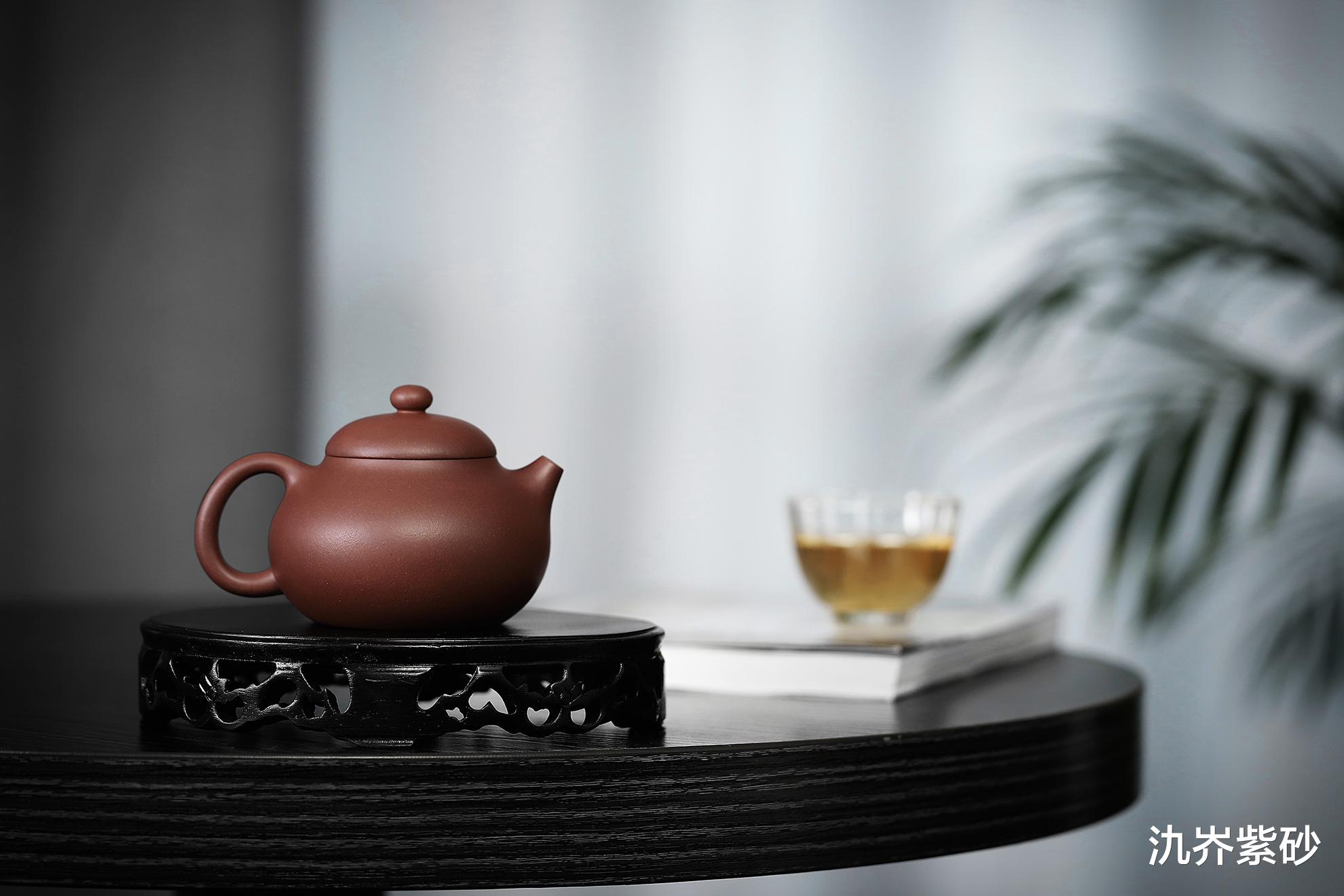 钱币|乱弹琴的抱怨：这把紫砂壶做工太差了，出汤时间竟然要10秒！
