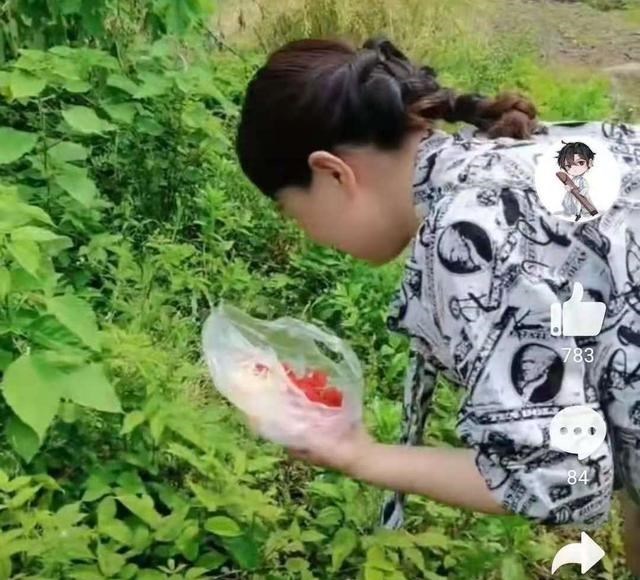 育儿心课堂 暖心！庐山脚下，野果飘香，网友：“童声”是可以温暖许妈的声音