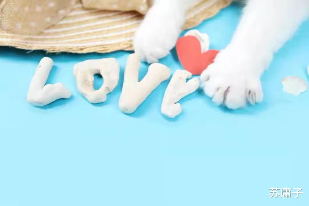 苏庸子|想念一个男人，不要频繁联系，做好这几点，他会主动联系你