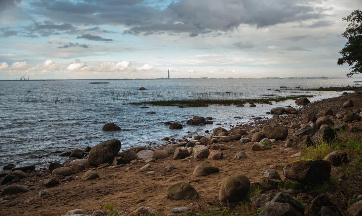 泪水迷失了双眼 性格外向内心孤独的星座，与每个人都很合得来，却无人能与之交心