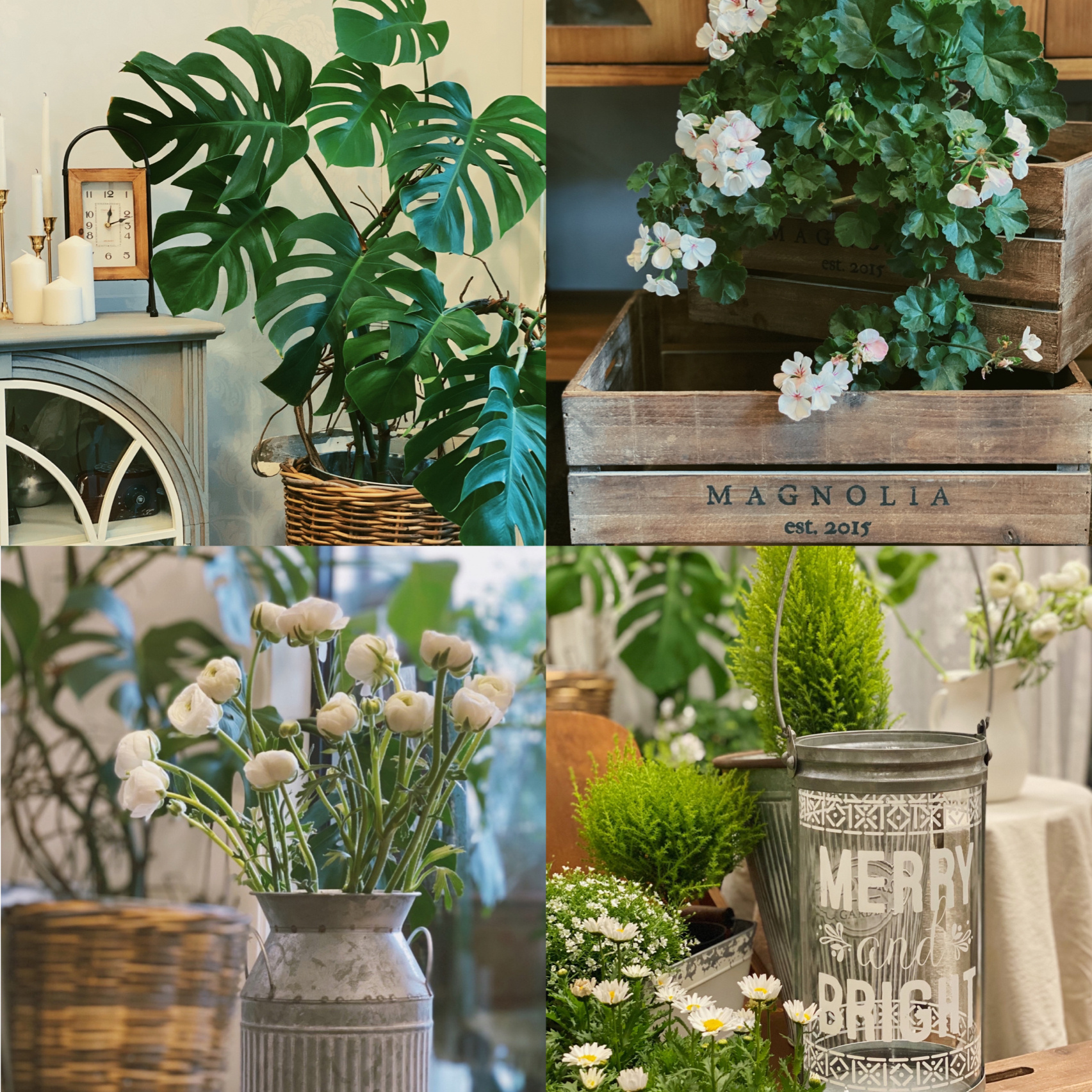 3.3㎡迷你阳台“造花园”，没想到小小阳台能这么漂亮，太喜欢了