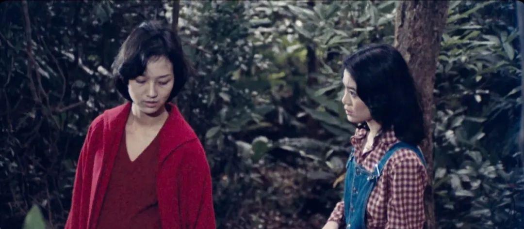 朱之文|香港“奇案”拍成B级片，我不奇怪，但女主角是赵雅芝，我没想到