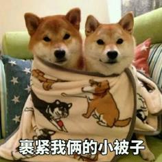 阜陽那些事 緊急提醒！阜陽連續四天！還有又要漲！？阜陽市民提前做好準備！