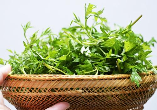 心脏|【艾灸课堂】艾灸小知识