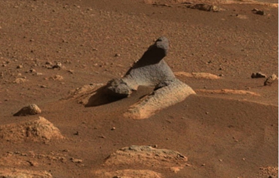 火星|火星再现神秘物体！这次是一头“海豹”，照片异常清晰