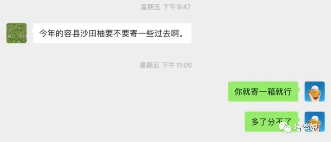 毛不易|“ 原来毛不易出演了放羊的星星 ？？ ” 哈哈哈毛不易看了想打人