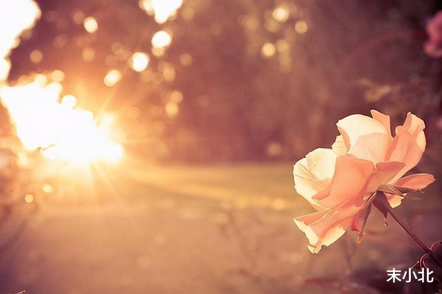 末小北|半生已过,学会沉默