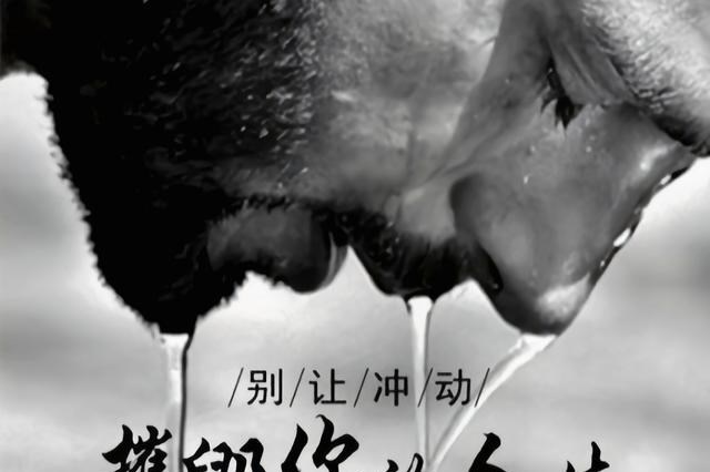 广州被捅奔驰车主后续∶江湖大哥被捅,许多人忽视一个重要问题!