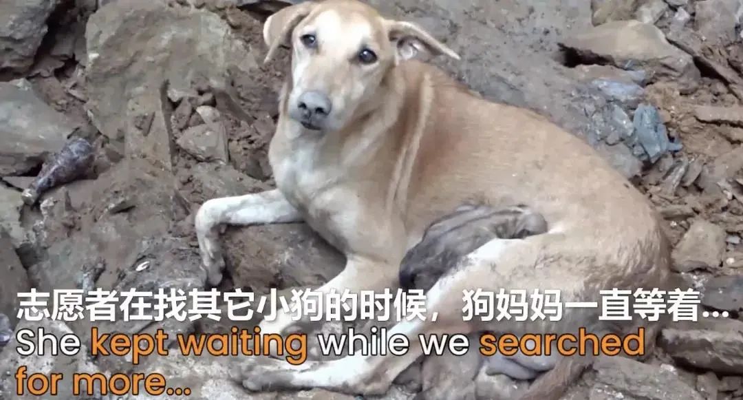 吴磊|吴磊和她的私照曝光，却意外揭露了她的生存现状