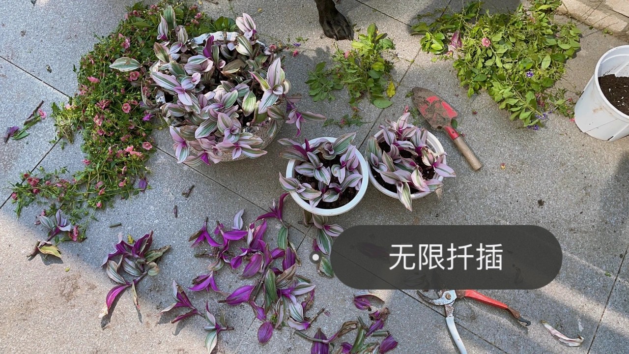 ?6万不到,改造72㎡现代庭院花园,教你做一个低维护的懒人花园