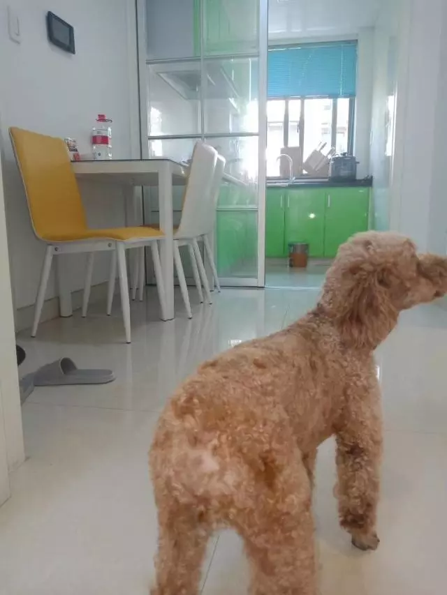 人生第一套70平新房,终于装修完工啦,效果还不错,一家人很满意