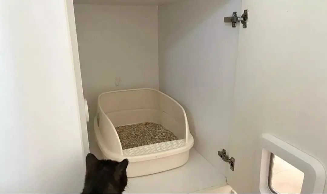 |110㎡装出豪宅范,中西厨兼顾,还有衣帽间、书房、洗衣房