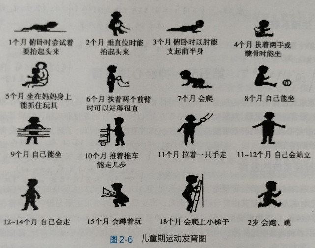 京妈说|6个月是宝宝成长“风水岭”，６大发育特点家长早了解，别养错