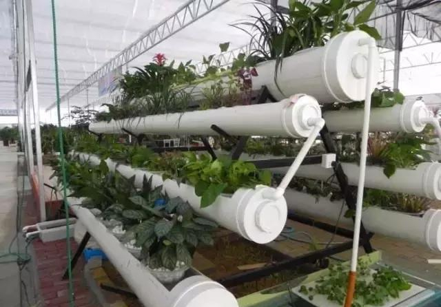 老婆把装修剩下的PVC管这样改，家里好几样家具都不用买了！