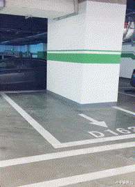 小宁说育儿|“这些真实的电影镜头，有多少人误认为是特效？”