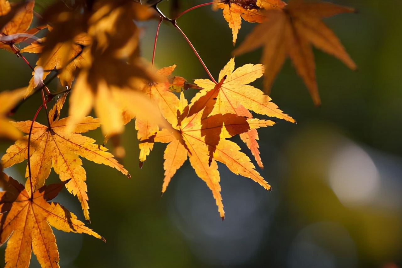 仲念念|一个女人的命好不好，看性格就知道了，第三种很容易命苦