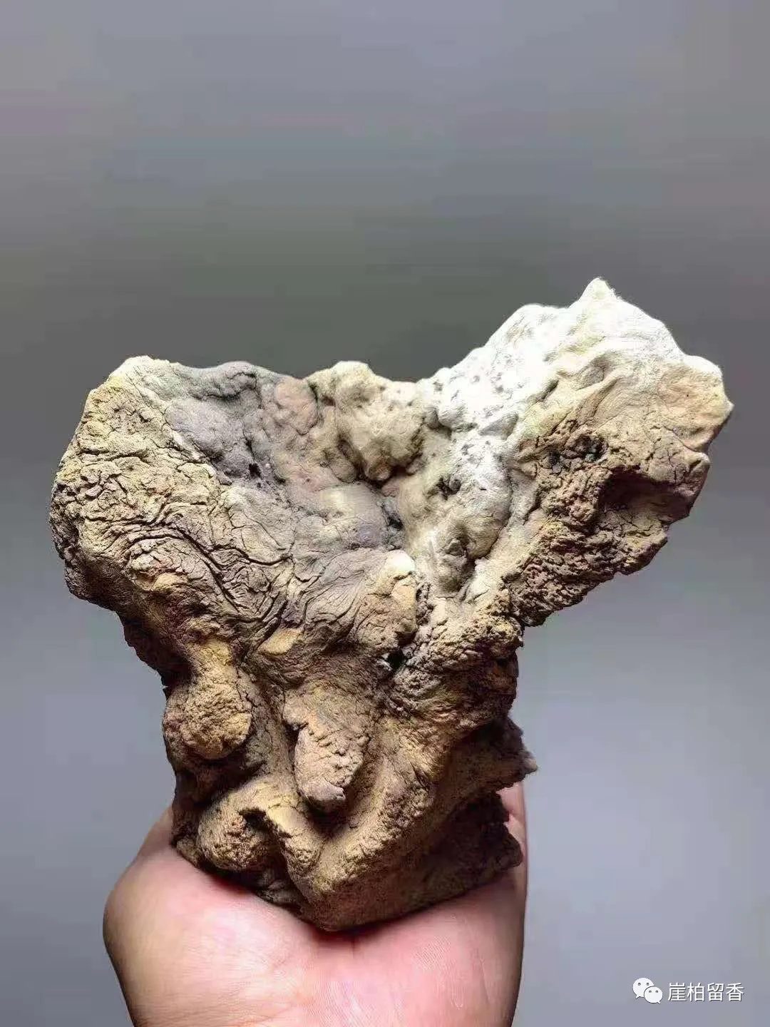 |为什么别人买的崖柏手串那么便宜呢？