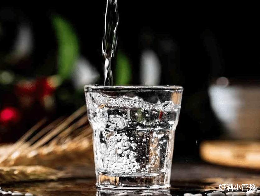 好酒小管教 终于醒悟!西凤和西凤酒原来不是一个厂家的酒,真是防不胜防!
