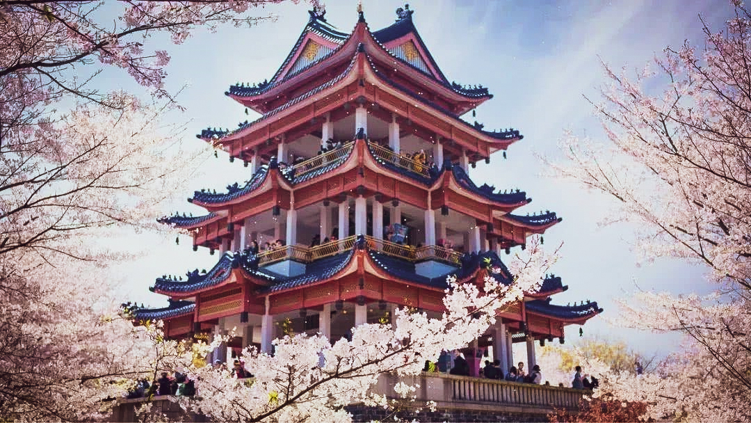 鼋头渚 3月，我建议你一定要去一次鼋头渚，美到不想离开