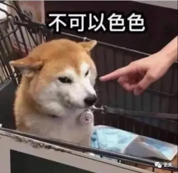 元斌|马思纯终于看上一个帅的了？这脸放内娱都能登顶吧…