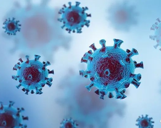 日本|病毒开始集体自杀了?反智之风正刮向东亚,比美国人还要“坑”