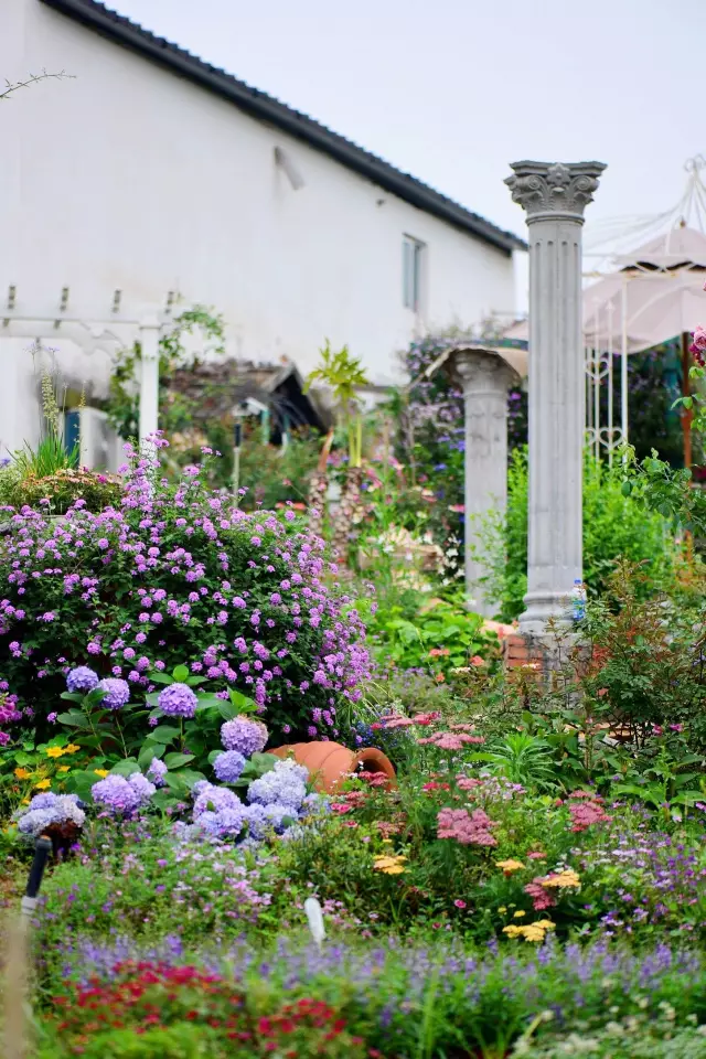 他建了座2亩的鲜花小院,满足你对花园的所有幻想!