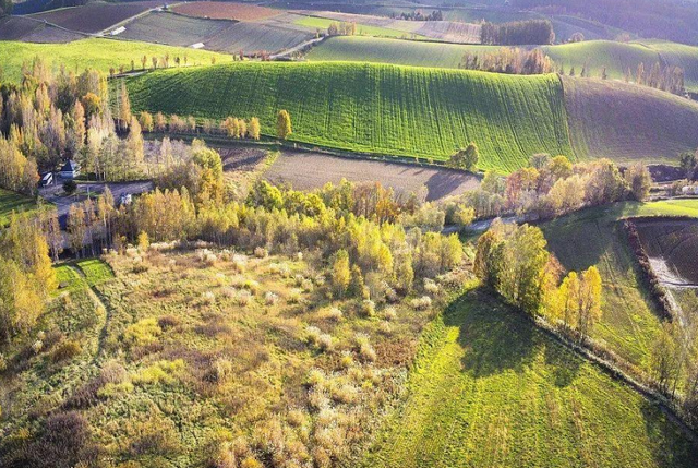 古镇 甘肃未开先火的“人造景区”，耗资3亿元，有望比肩嘉峪关