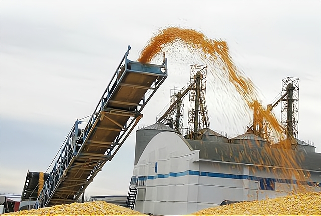 中儲糧拍賣15.5萬噸美國、烏克蘭進口玉米，市場要崩盤？結果遇冷-圖5