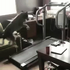 “阿姨,我不想努力了”男子与富婆聊天记录流出!