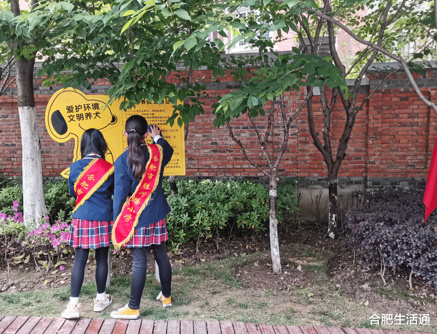 合肥生活通 合肥市胜利路小学七色花志愿劳动迎“五一”