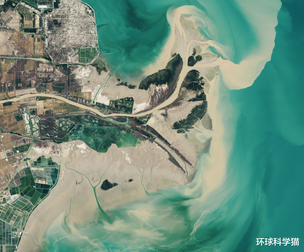 美國衛星又來瞭！黃河三角洲31年巨變：大片植被覆蓋，海水變清-圖4
