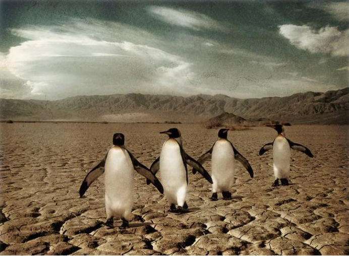 全球变暖 全球变暖后果多可怕？20000名科学家联名警告：后果人类无法承受