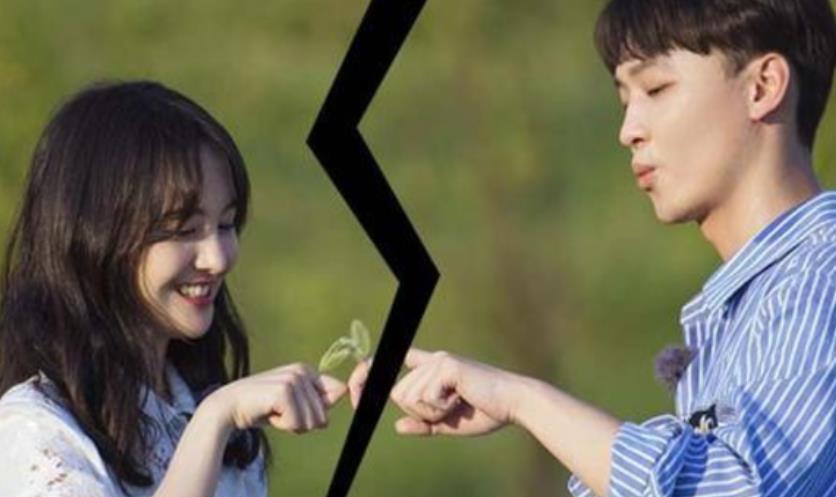 老金|傻眼了！张恒被迫举报郑爽偷税漏税，却搬起石头砸自己的脚