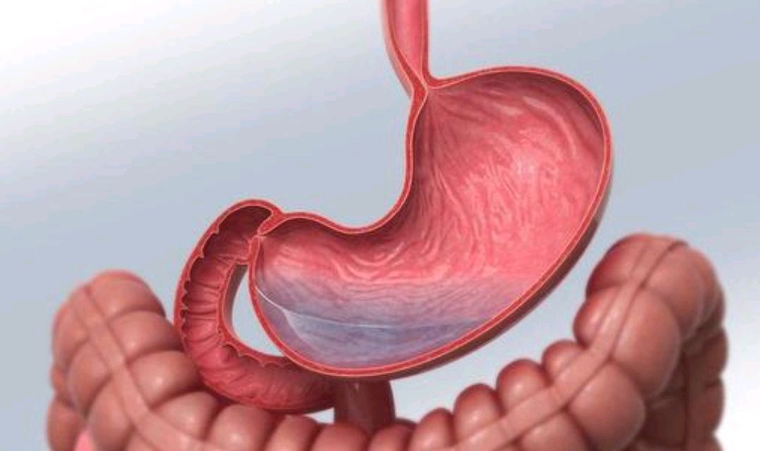 饮食|肠胃出现问题，不能吃红枣吗？想要保护胃部，请坚持做好3件事