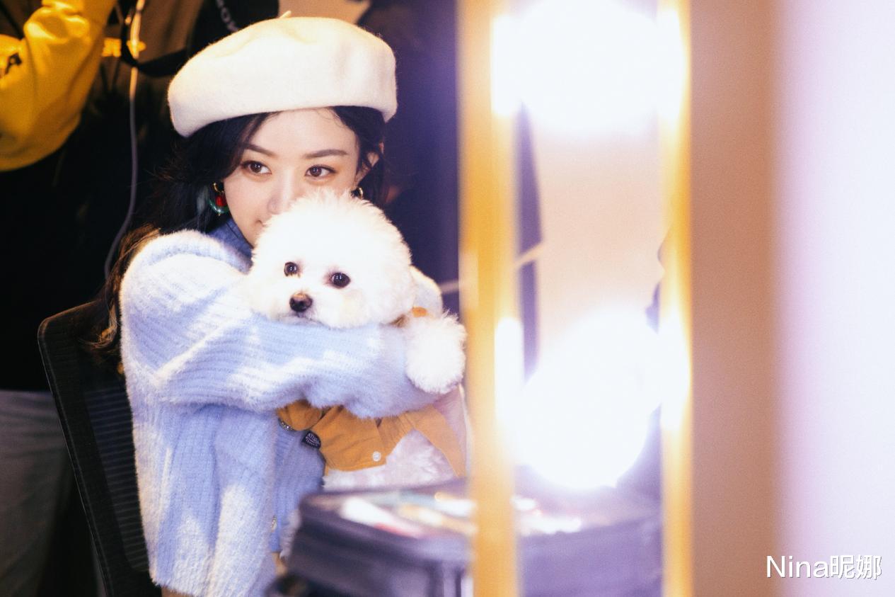 张柏芝|赵丽颖直播下班，深夜穿露脐毛衣真不怕冷，辣味十足都留不住冯绍峰