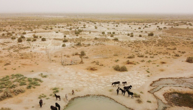 科学家 中国核电再次“领跑”全球，打造首座无水核反应堆，在沙漠发电？