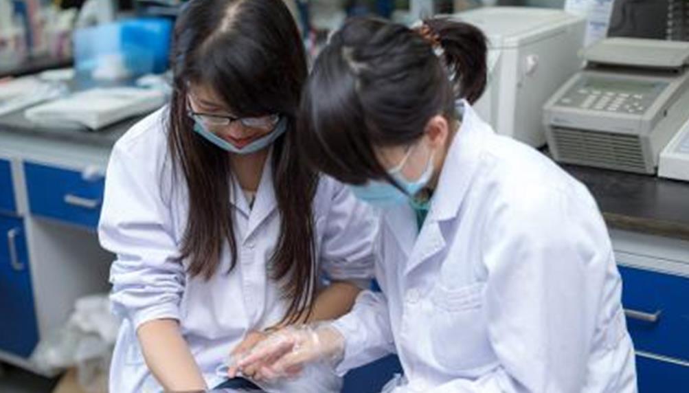 吴洪娜聊说育儿|“家庭条件差的学生不建议学医”，不是看不起你，数据告诉你原因