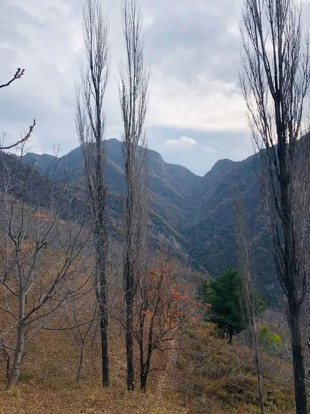 成都|高山之上，秦岭终南山有个原本热闹的空中村落，也许即将永远消亡