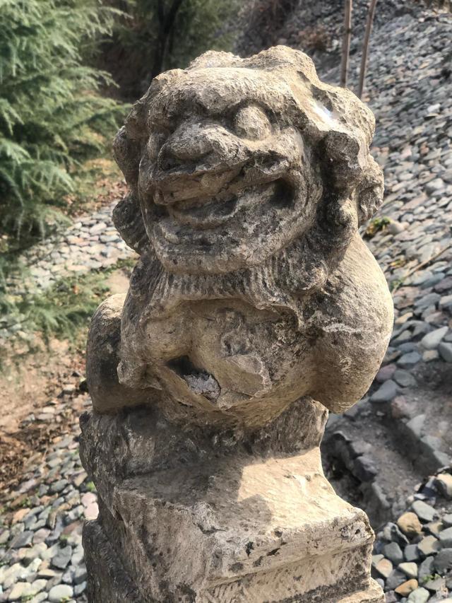 闲悠记 神秘古村落,办过五年大学,石桥、古树、老井和古宅处处可见