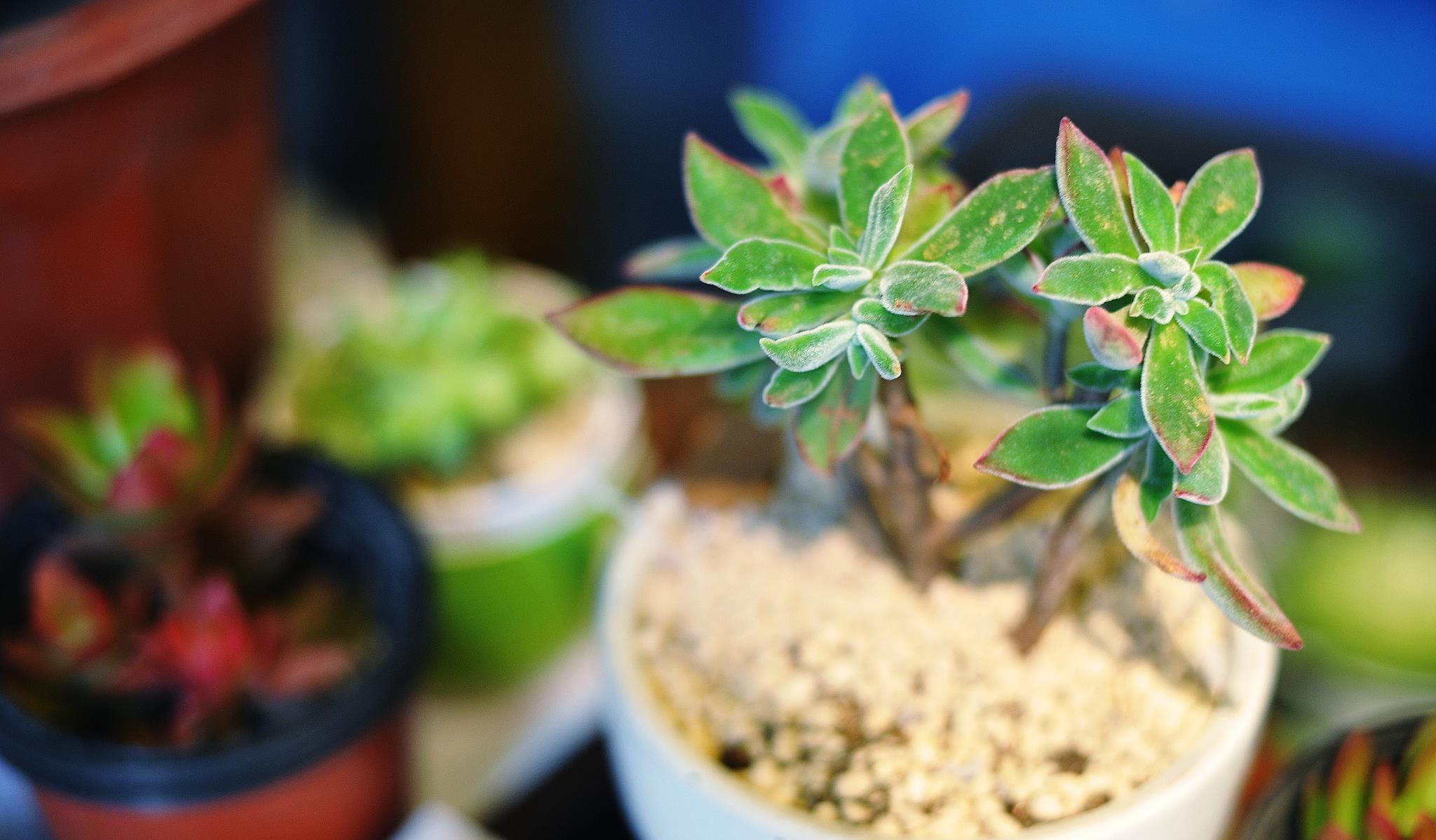 银城星系|成年人相处最舒服的3种状态