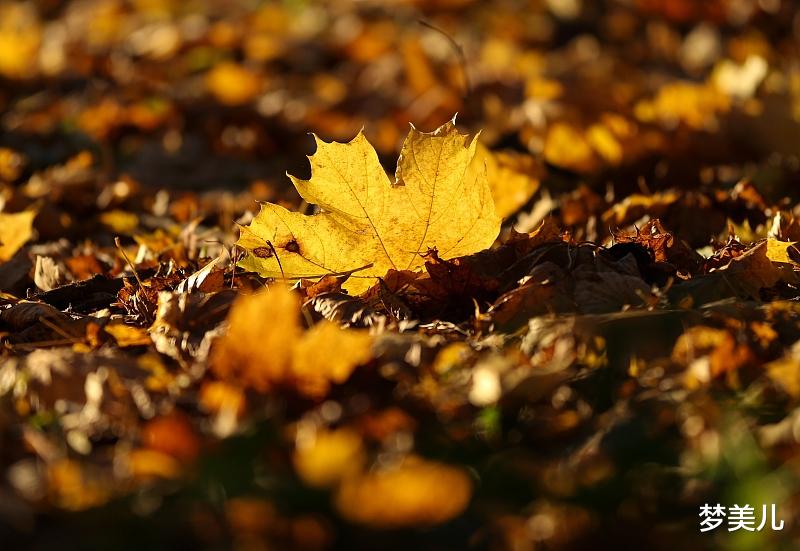 梦美儿 生活已经不容易,能开心点过,就不要给自己找别扭