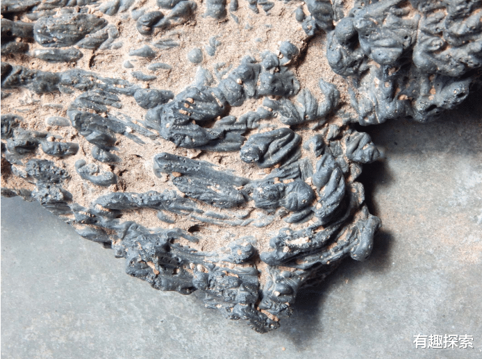 智利荒漠出现大量黑绿色斑块,年龄约1.2万年,现在终于揭开谜团