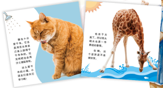 精灵袋鼠妈妈|一份来自小动物的宝藏书单