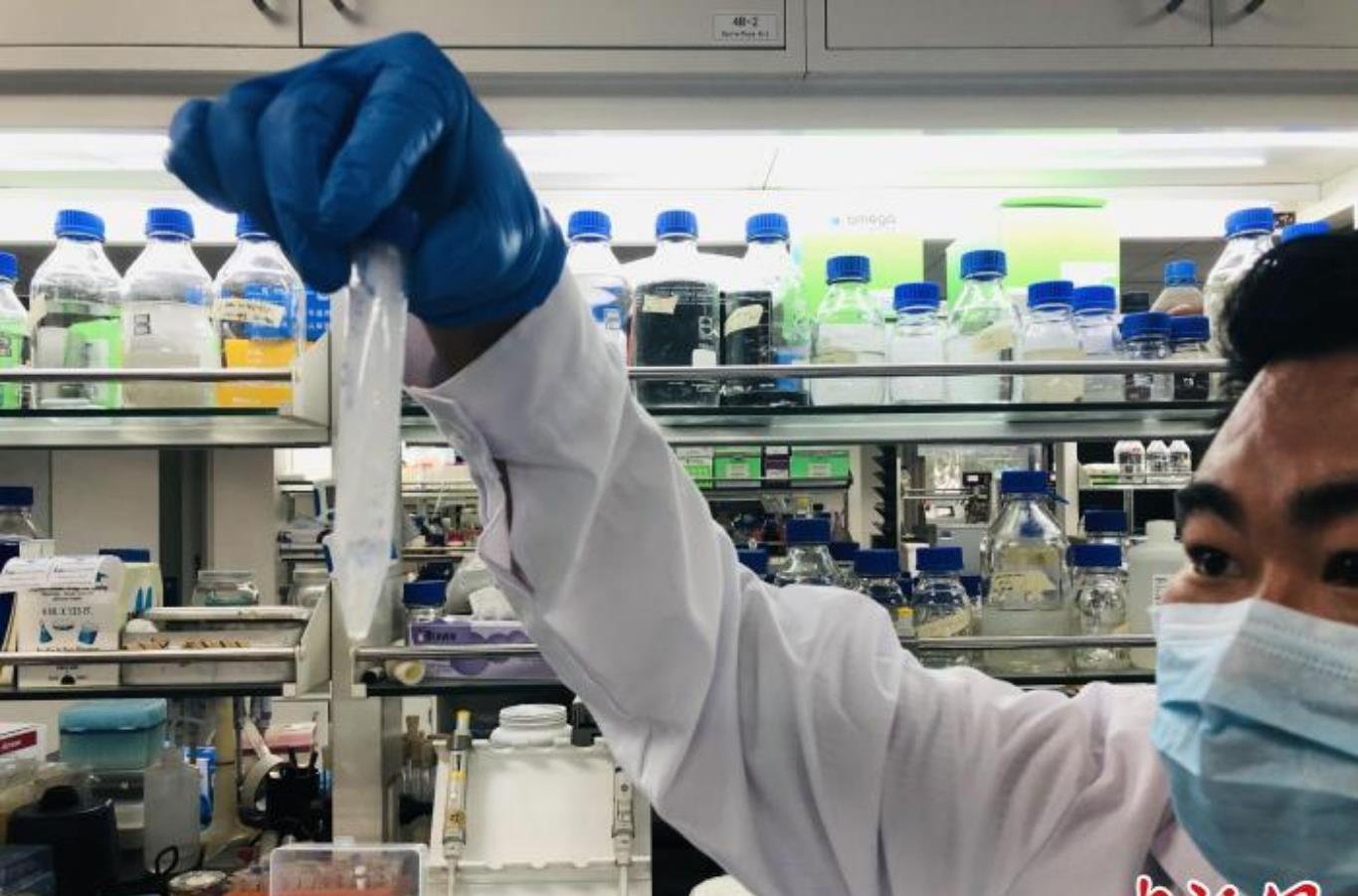 航天员 封神！从60多步到11步，效率提高8.5倍，合成淀粉能拿下诺奖吗？