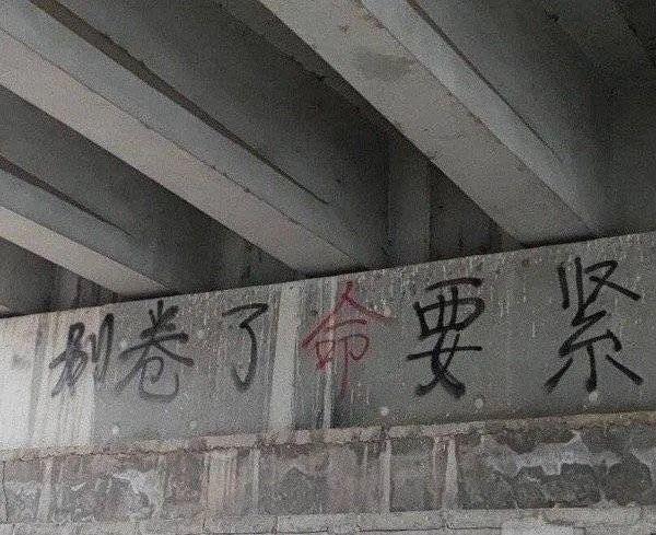 只有被「滤镜诈骗」毒害过,才会明白当年「图片仅供参考」有多真诚