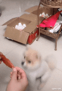 电影|“据说知道这个台词的都是铁粉，网友：换成其他人一个配角很难认出！”