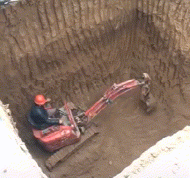  “北大石狮子被人偷袭砍成重伤！到底是何人所为？”