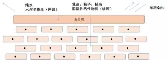方方看时尚|孕妇补水保湿做的好，皮肤绝对没烦恼！选对护肤品拒绝伤脸又伤钱