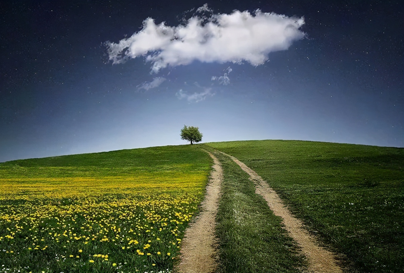 非洲 “中国小伙”逆袭非洲酋长，封地500亩老婆随便娶，人生达到巅峰